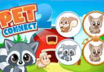 Pet Connect 2