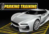 Parking Training