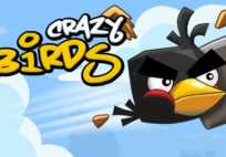 Crazy Birds