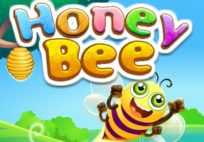 Honey Bee