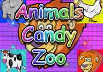 Animals Candy Zoo