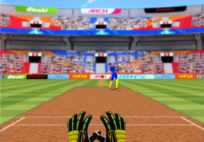 Cricket Fielder Challenge Game