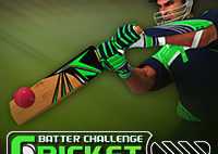 Cricket Batter Challenge Game