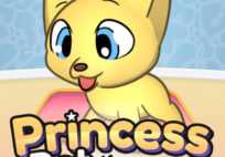 Princess Pet Studio